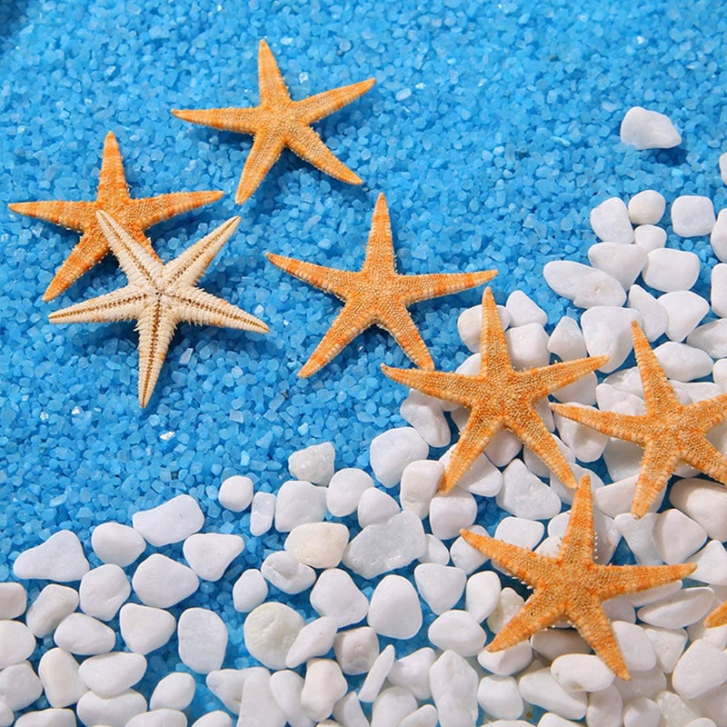 LGEGE 12 Extra Large Size Starfish - Tan Flat Sea Stars (3.3" - 4.3" / 85-110 mm), Beach Crafts, Wedding Invitations - Image 2